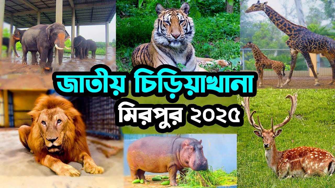 বাংলাদেশ জাতীয় চিড়িয়াখানা, মিরপুর । Bangladesh National Zoo, Mirpur, Dhaka 2025