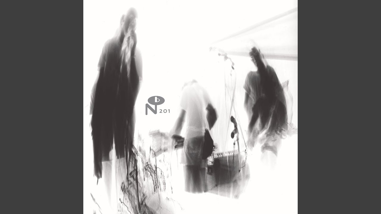 Loss Leader (Peel Session)