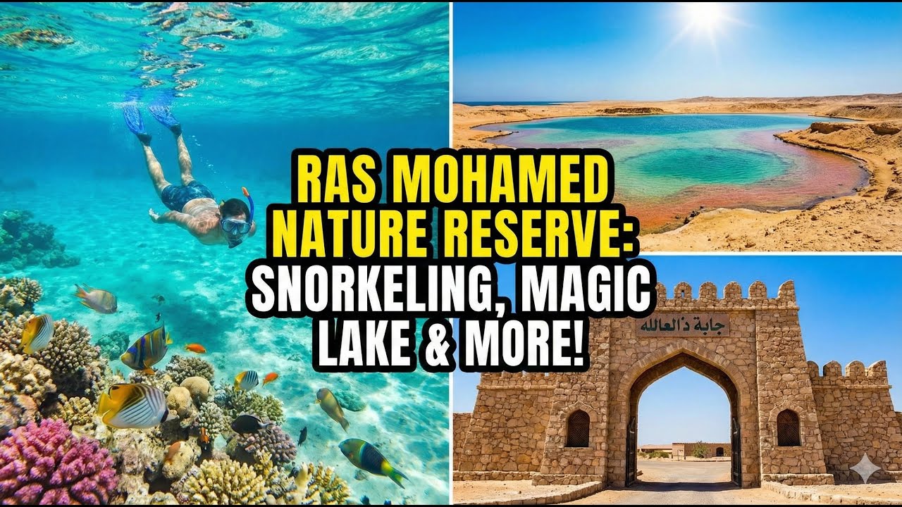 Snorkeling the Red Sea & Exploring Ras Mohamed | Magic Lake, Earthquake Crack & More!