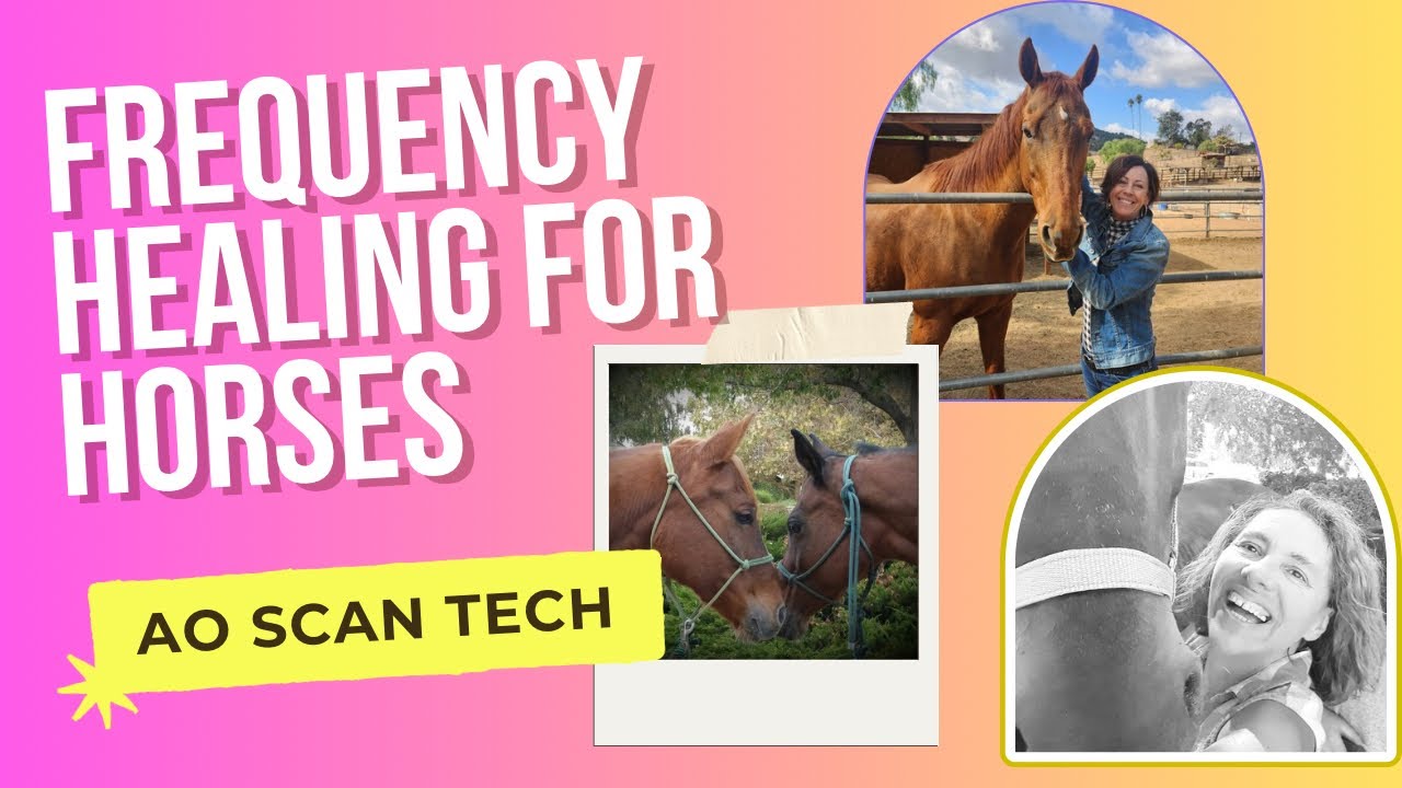 AO SCAN is AMAZING for HORSES!  Debbie A Carlson with Tammie Joyce and Karen J Clark in Poway CA