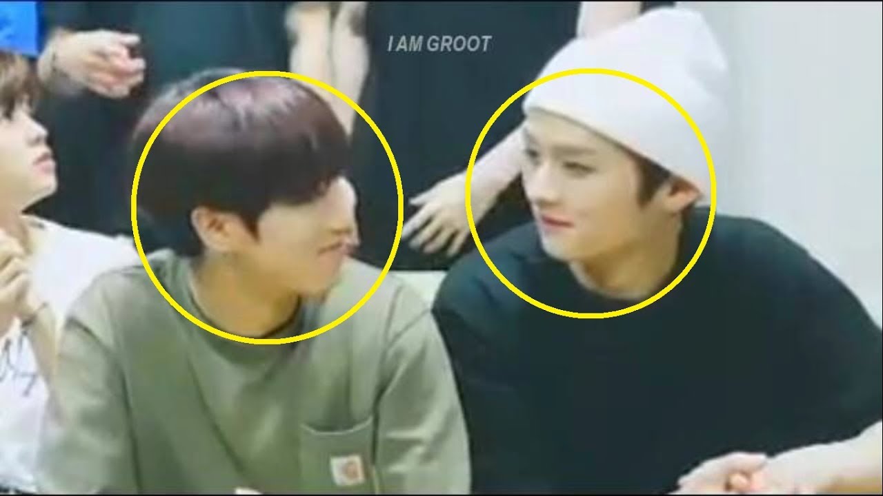 Stray Kids | Content Analysis & Editing I Adorable Moments: Han Jisung and Lee Know (Minsung) #21