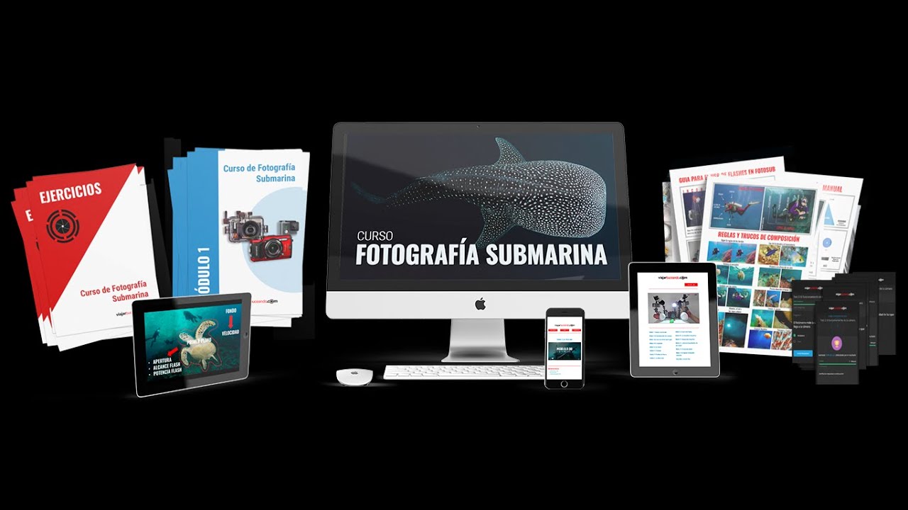 Curso Online de Fotograf&iacute;a Submarina | Aprende desde cero