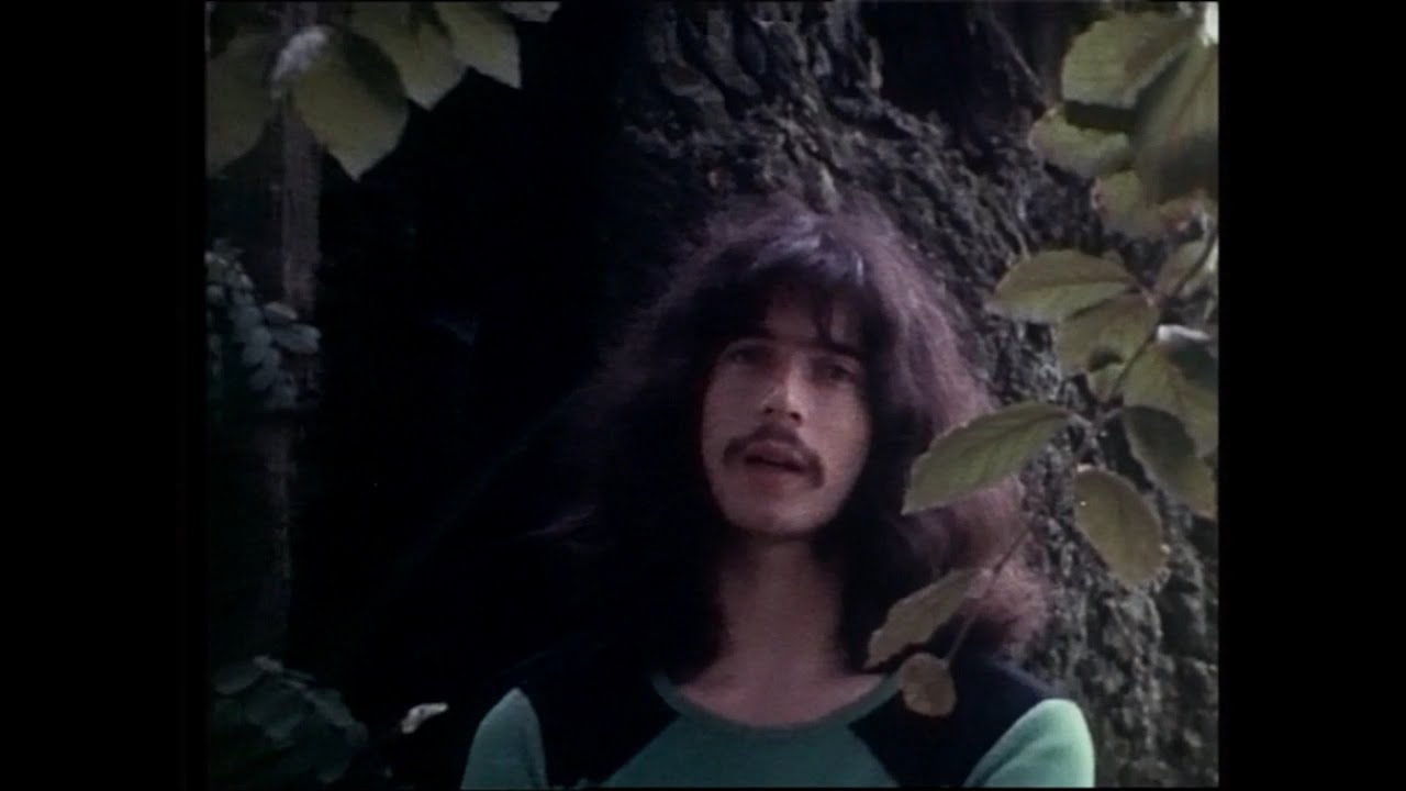 Hollands Glorie : Boudewijn de Groot - Verdronken Vlinder ( Kleuren Promo Film 1970 Stereo )