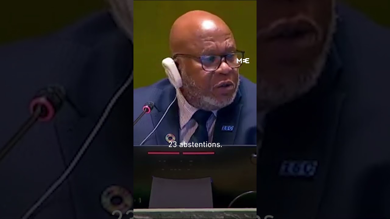 UN General Assembly adopts resolution demanding immediate ceasefire in Gaza - 12 December