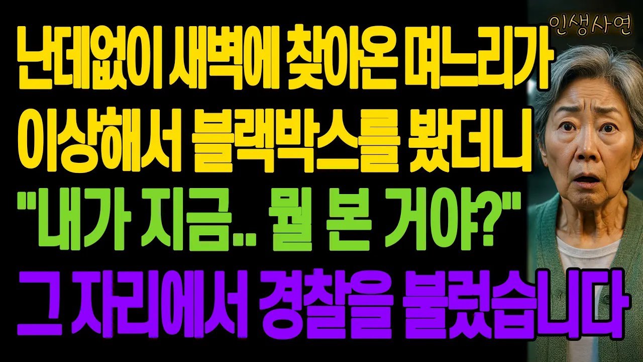 난데없이 새벽에 찾아온 며느리가 이상해서 블랙박스를 봤더니 내가 지금   뭘 본 거야 그 자리에서 경찰을 불렀습니다 노년의 삶의 지혜 행복한 노후생활 부모자식갈등 사연 이야기