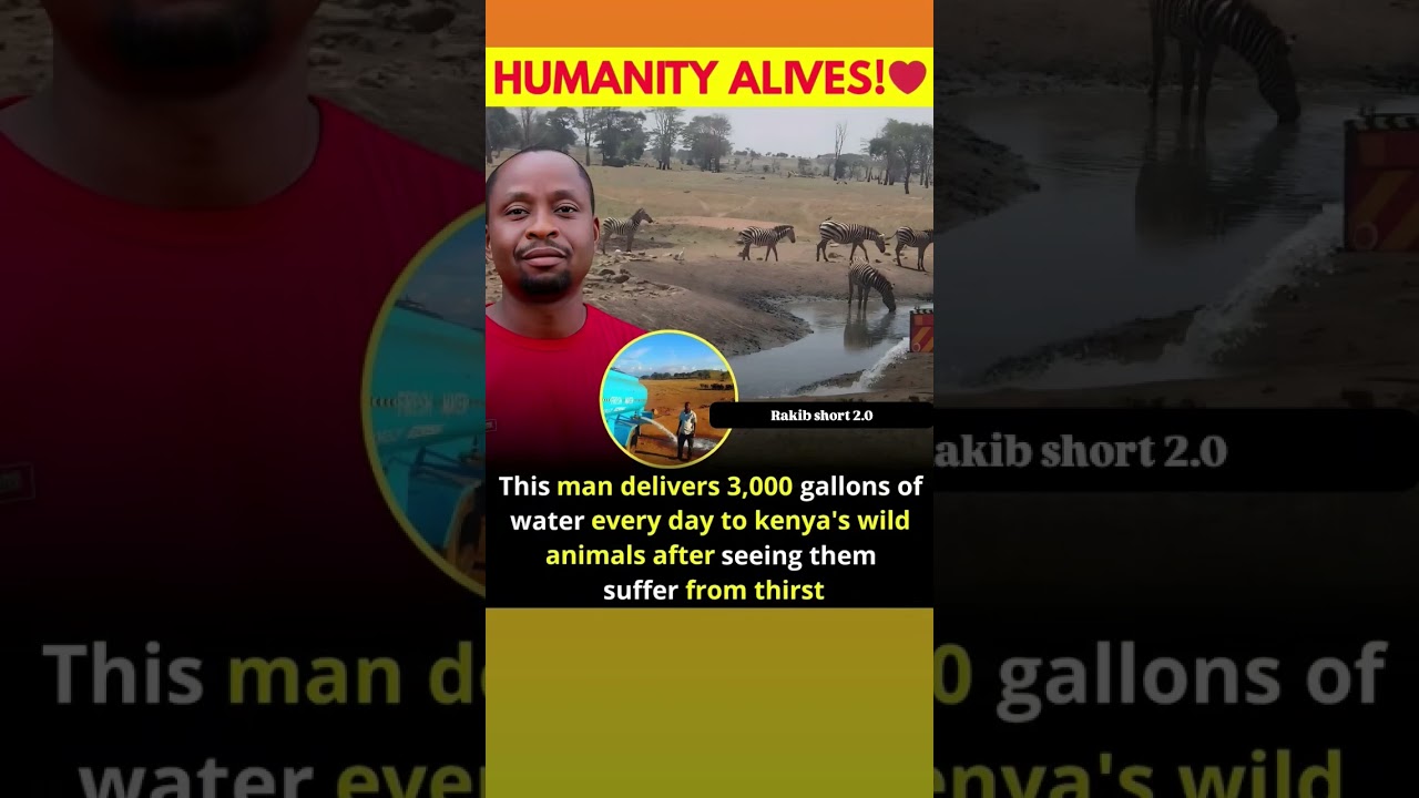 This man delivers 3,000 gallons of water every day to kenya's wild animals..
