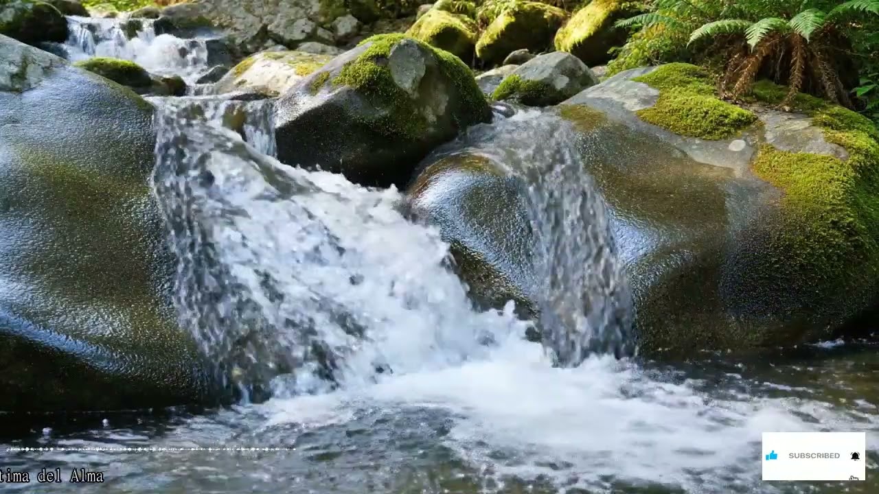 Ecos De Serenidad Un Viaje Atemporal En Piano Para La Reflexión Y La Calma Interior