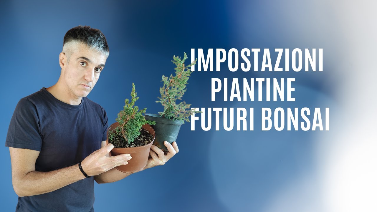 COME FARE la FILATURA D'IMPOSTAZIONE su TALEE