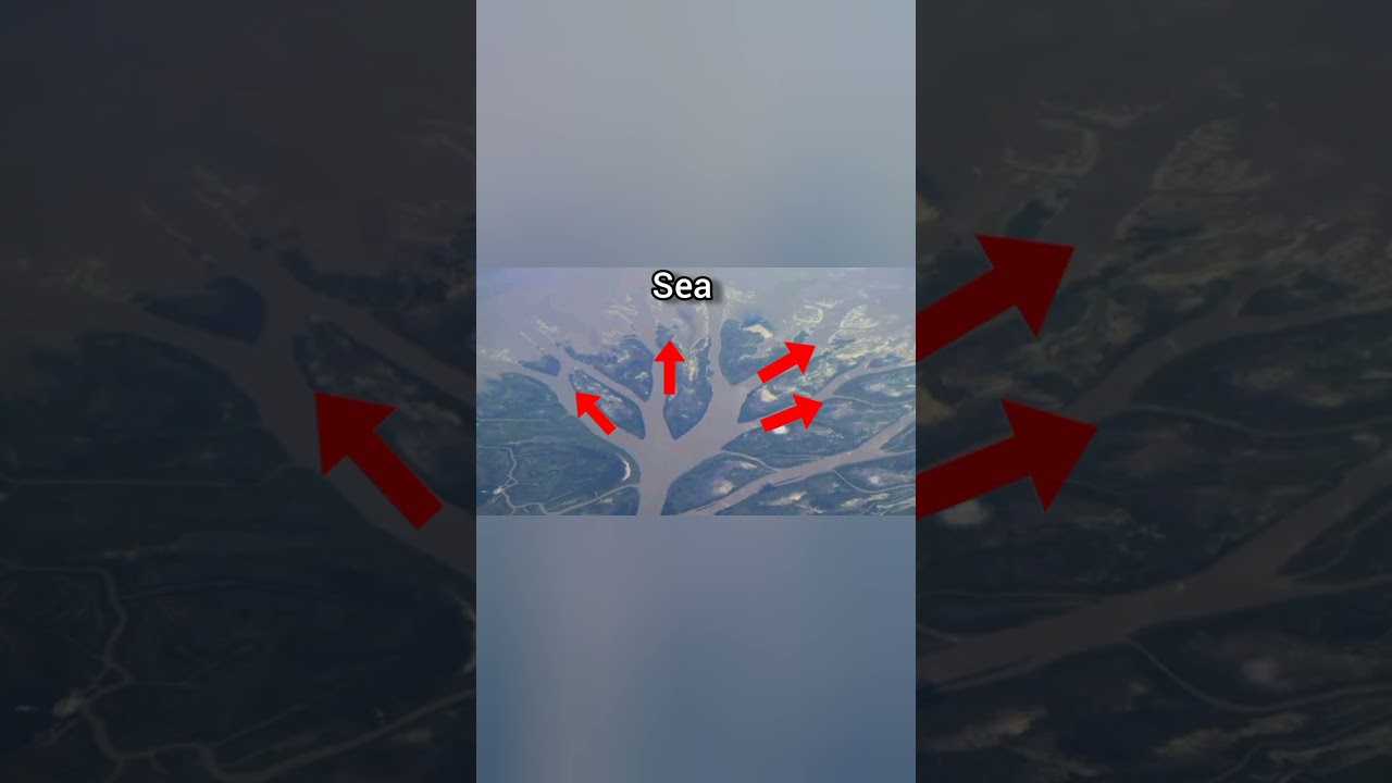 Delta vs Estuary – what's the difference? 