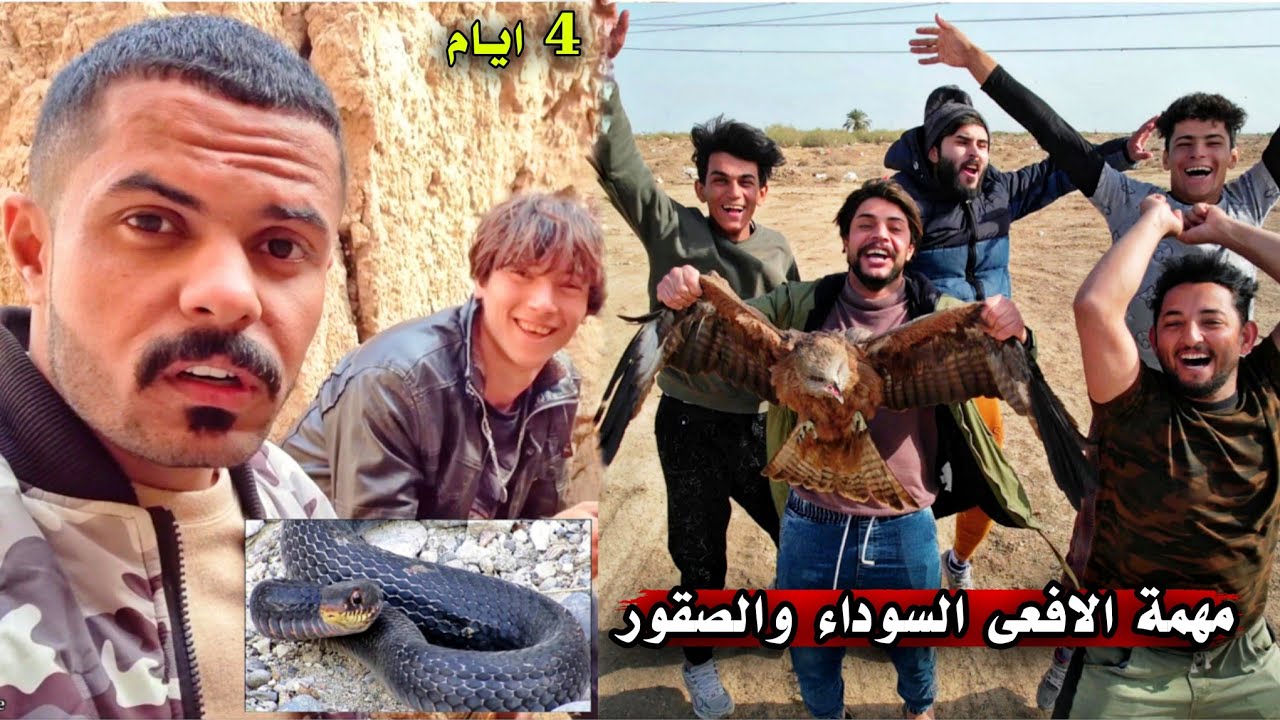 مهمة العربيد الأسود الصعبة _ وصيد صقر ثاني للفتى الصغير ( 32 )