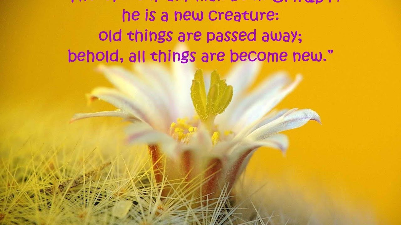 HE Gave New Life