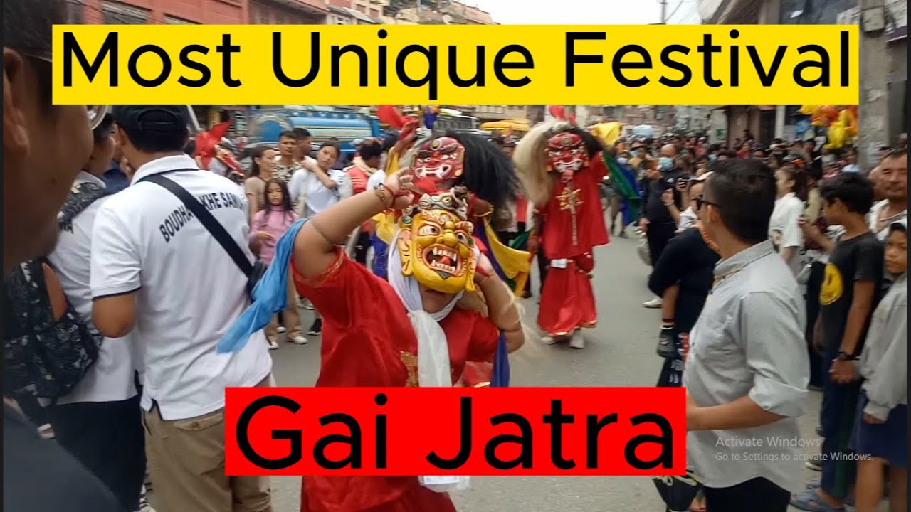 गाईजात्रा Celebration of Cow Festival and Ropai Jatra in Boudha Kathmandu Nepal