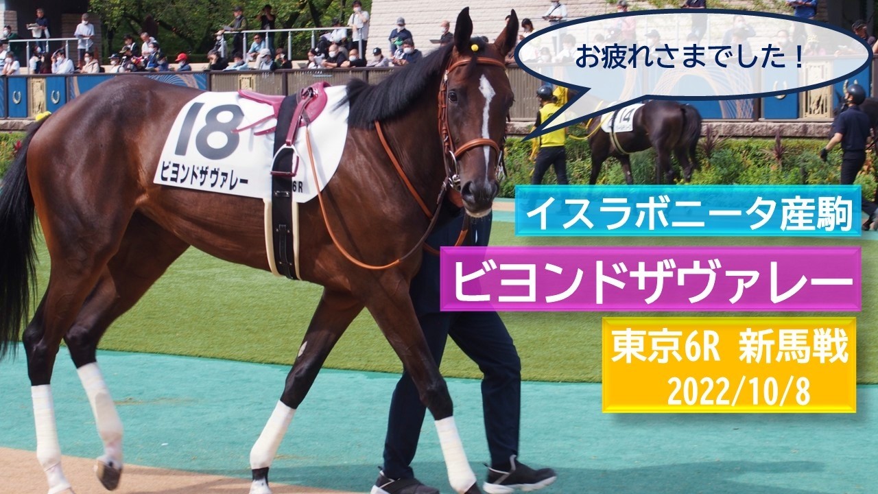 2022年10月8日 | 東京6R 新馬戦 | ビヨンドザヴァレー | パルティキュリエ | アフターグロウ | パドック 現地映像 全頭 | 東京競馬場 | 芝1,600