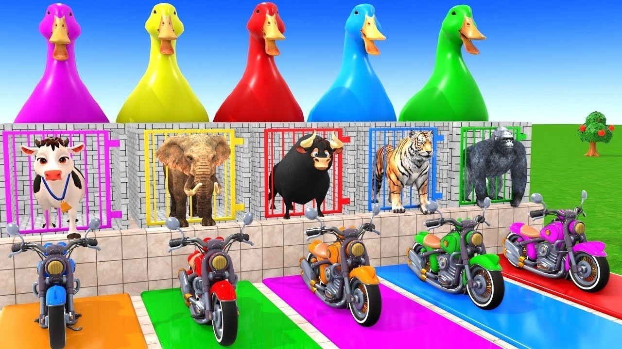 Long Slide Game With Cow Elephant Gorilla Hippopotamus Tiger 3d Animal Game Funny 3d Animals