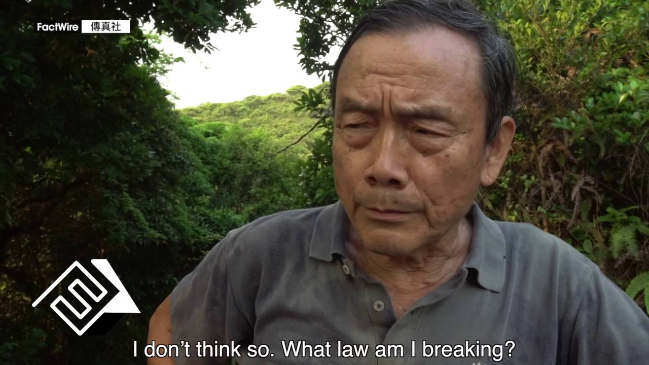 Villas occupied by ex-official and businessmen &lsquo;built illegally&rsquo; on government land in Tai Tam