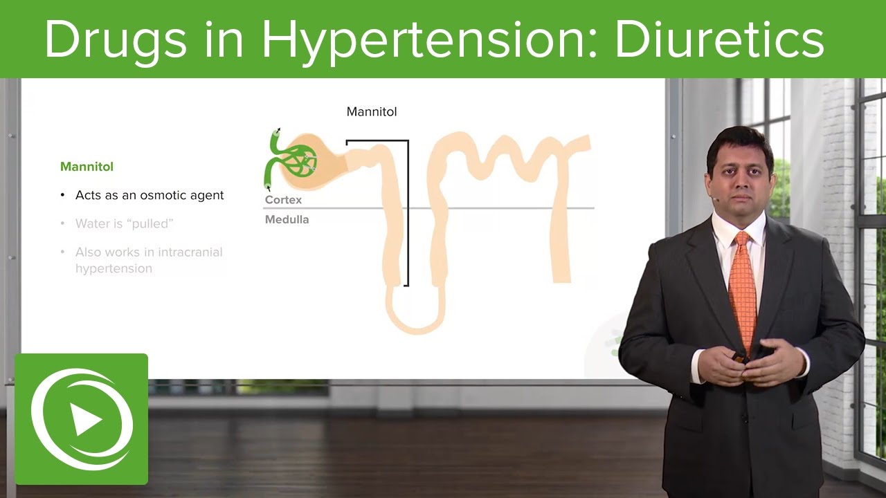 Drugs in Hypertension: Diuretics – Cardiovascular Pharmacology | Lecturio