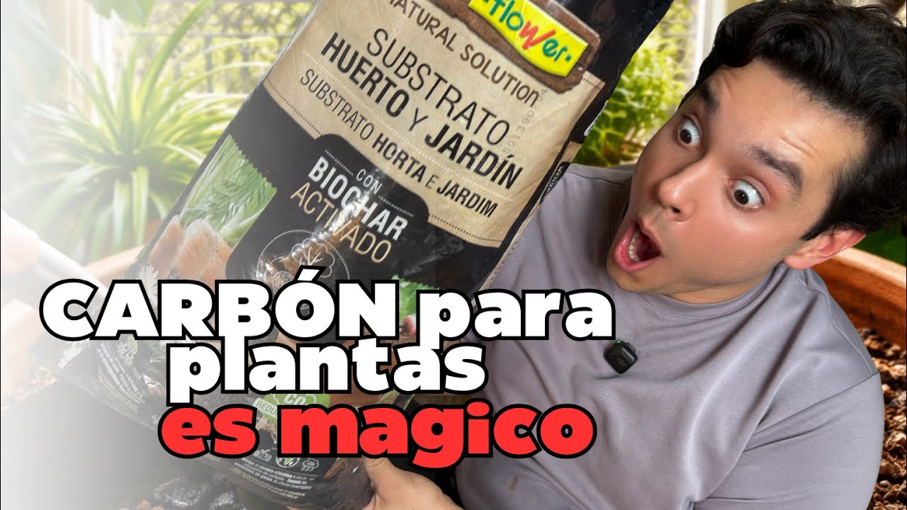 Biochar en sustratos: el truco anti pudrición que puede fastidiarte el pH