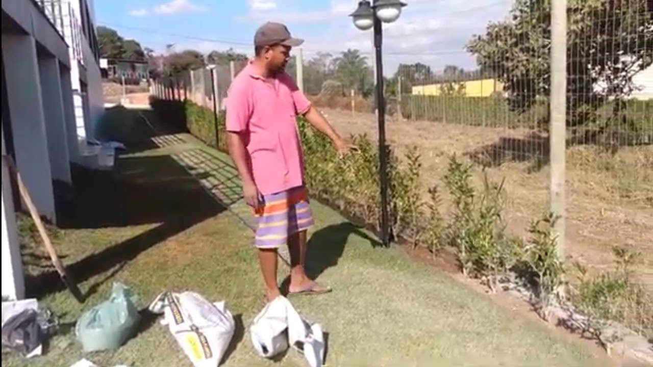 Faça a sua cerca viva , crescer rápida com essa adubação...