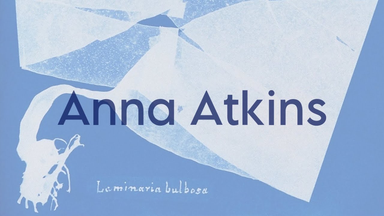 ¿Quién es Anna Atkins? La primera mujer fotógrafa