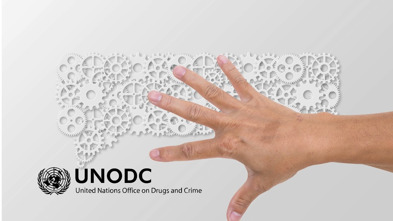 The Review Mechanism of the UN Convention against Transnational Organized Crime (UNTOC)&ndash; Full