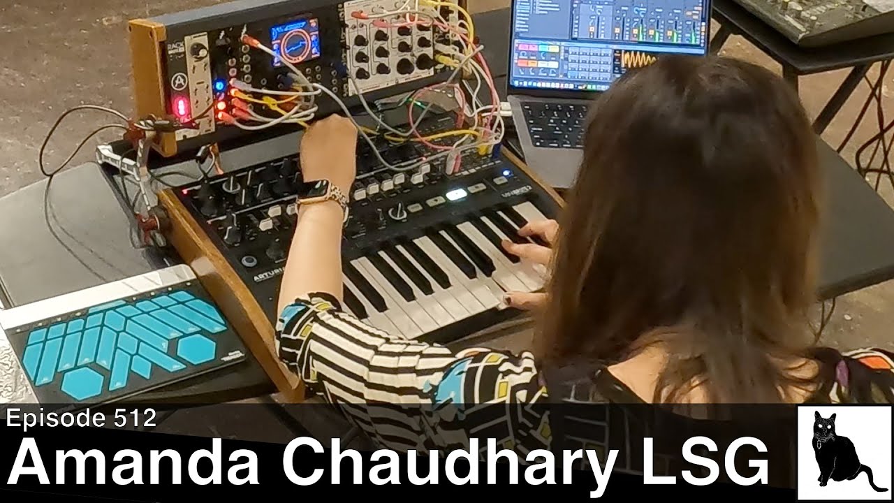 Amanda Chaudhary Experimental Synth Noise Performance (Luggage Store Gallery)