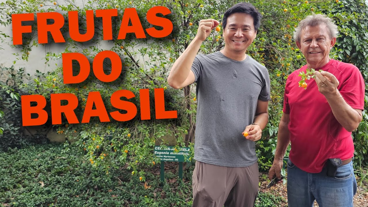 Frutíferas Nativas do Brasil