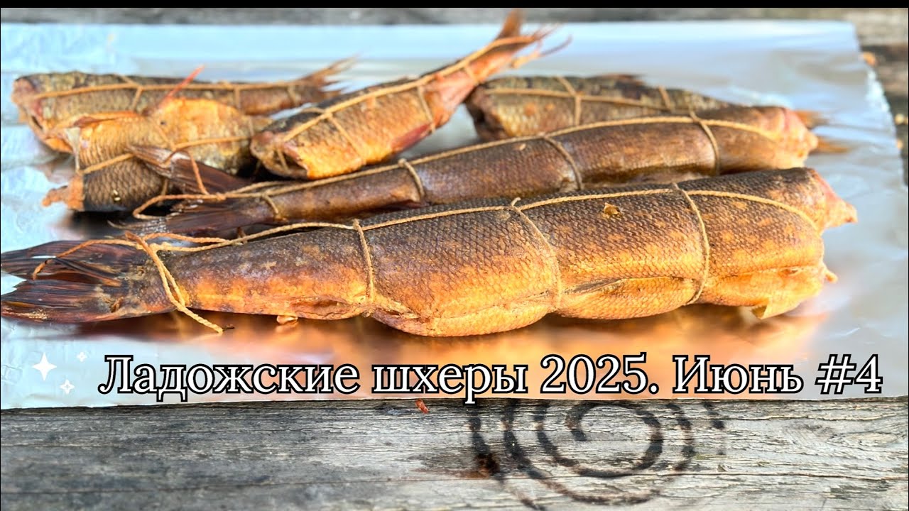 Ладожские шхеры 2025. Июнь #4