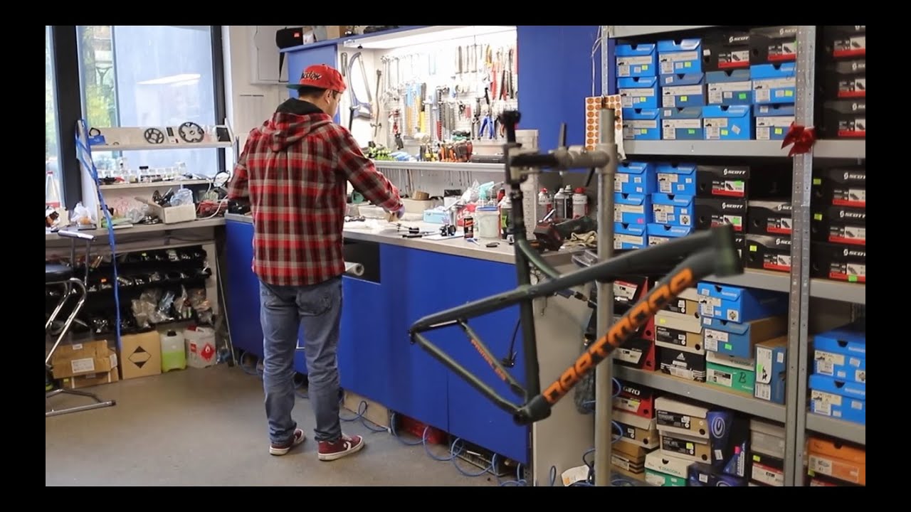 Custom  Build Dartmoor Primal 29