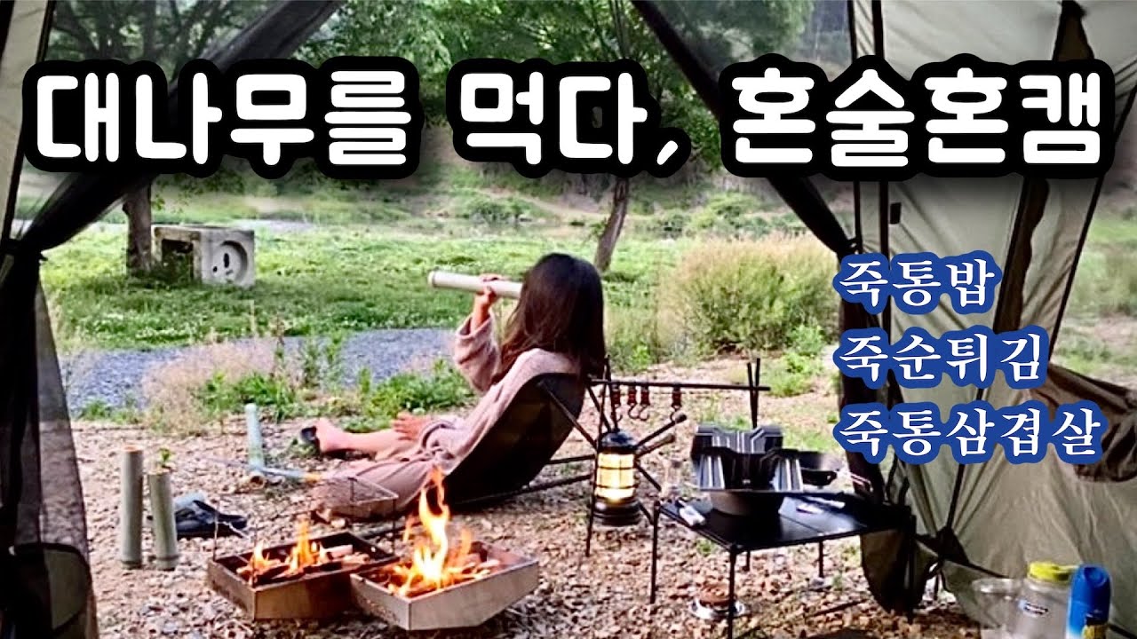 [멍숲 솔캠] 대나무를 먹어요