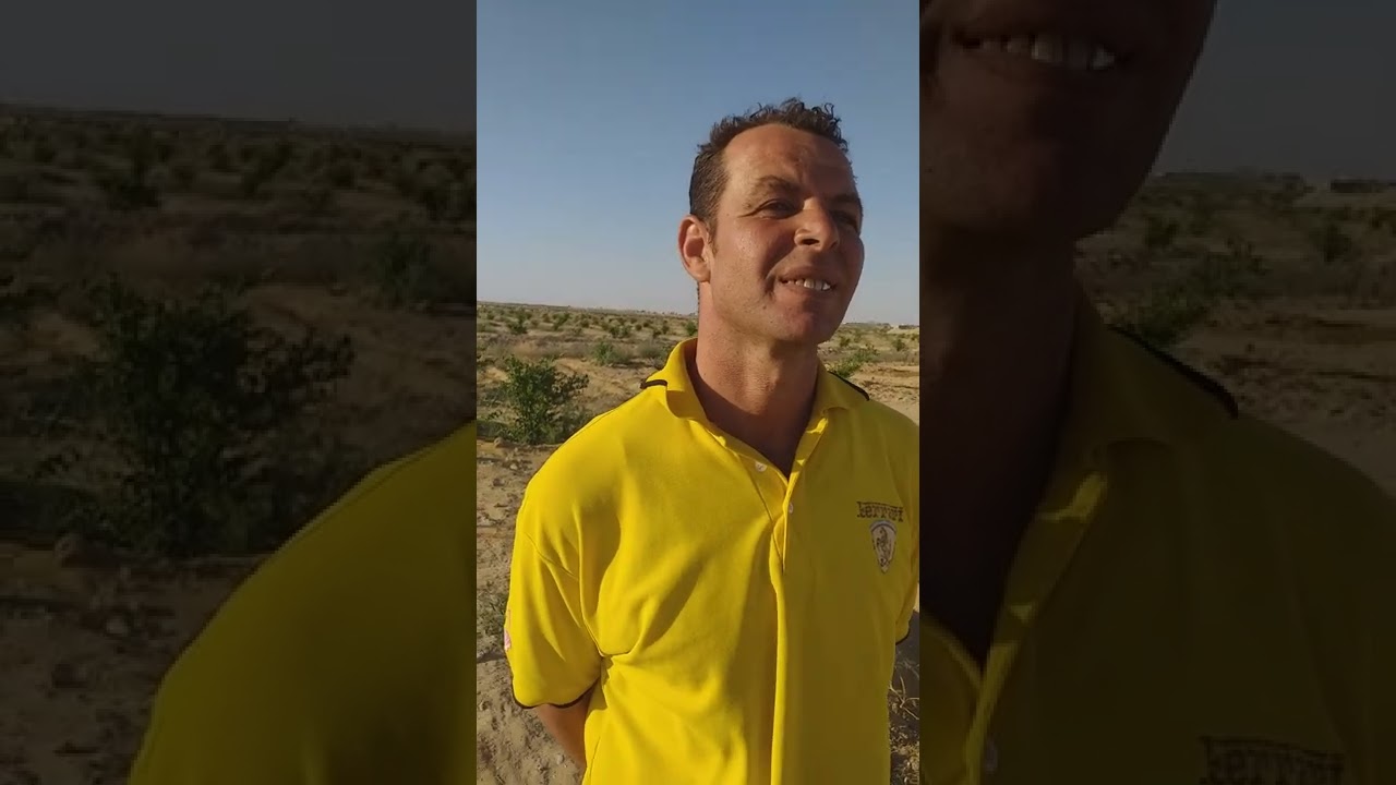 زراعه الجوافة والليمون عمر سنه مع المتألق مصطفي ابو جلال ( في الفرافرة )
