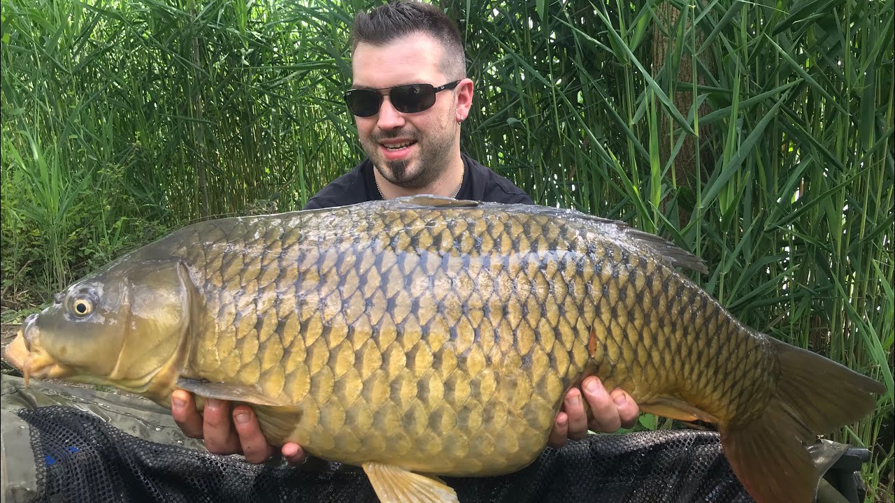 Carpfishing lago Giarrette... parte prima