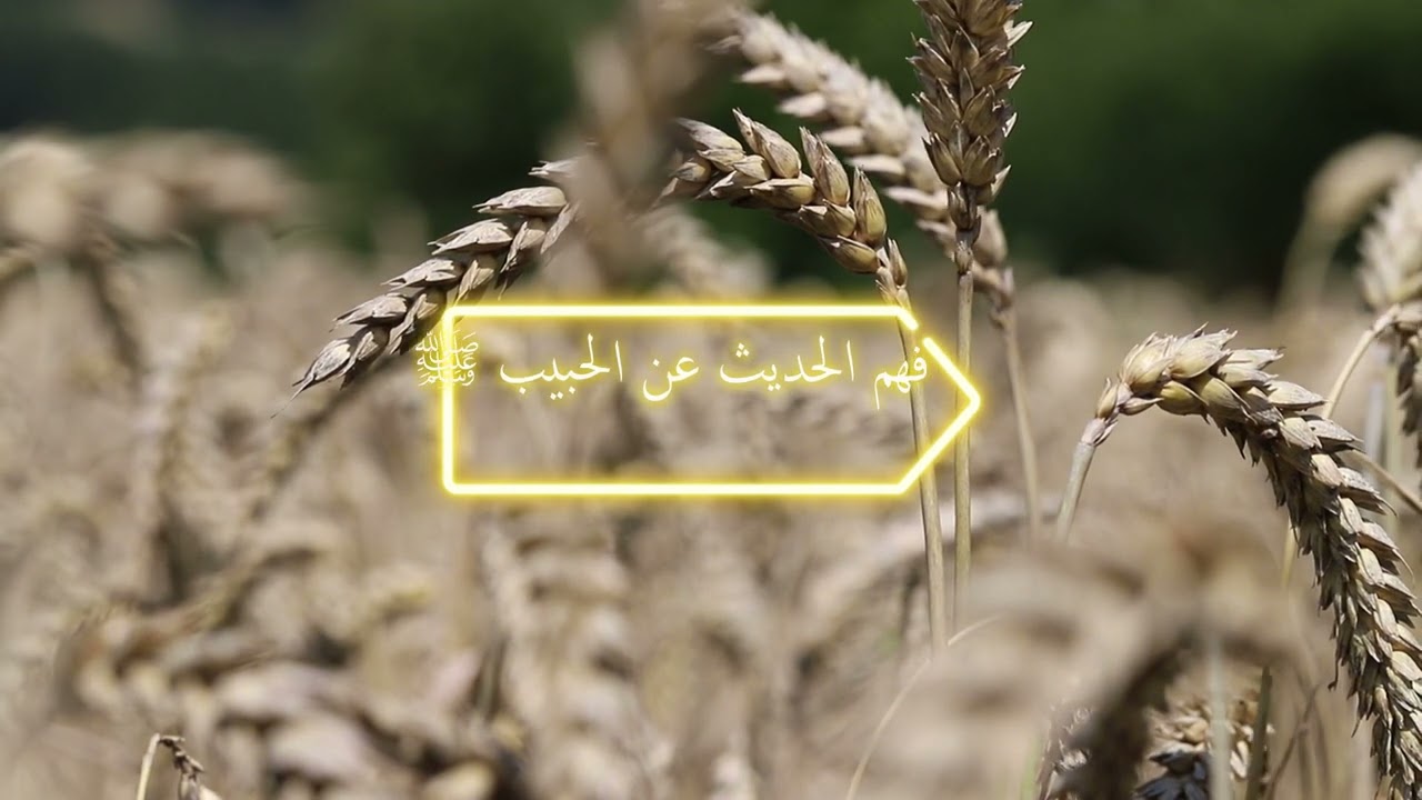 الذهب بالذهب، والفضة بالفضة، والتمر بالتمر، والبر بالبر، والشعير بالشعير، والملح بالملح،