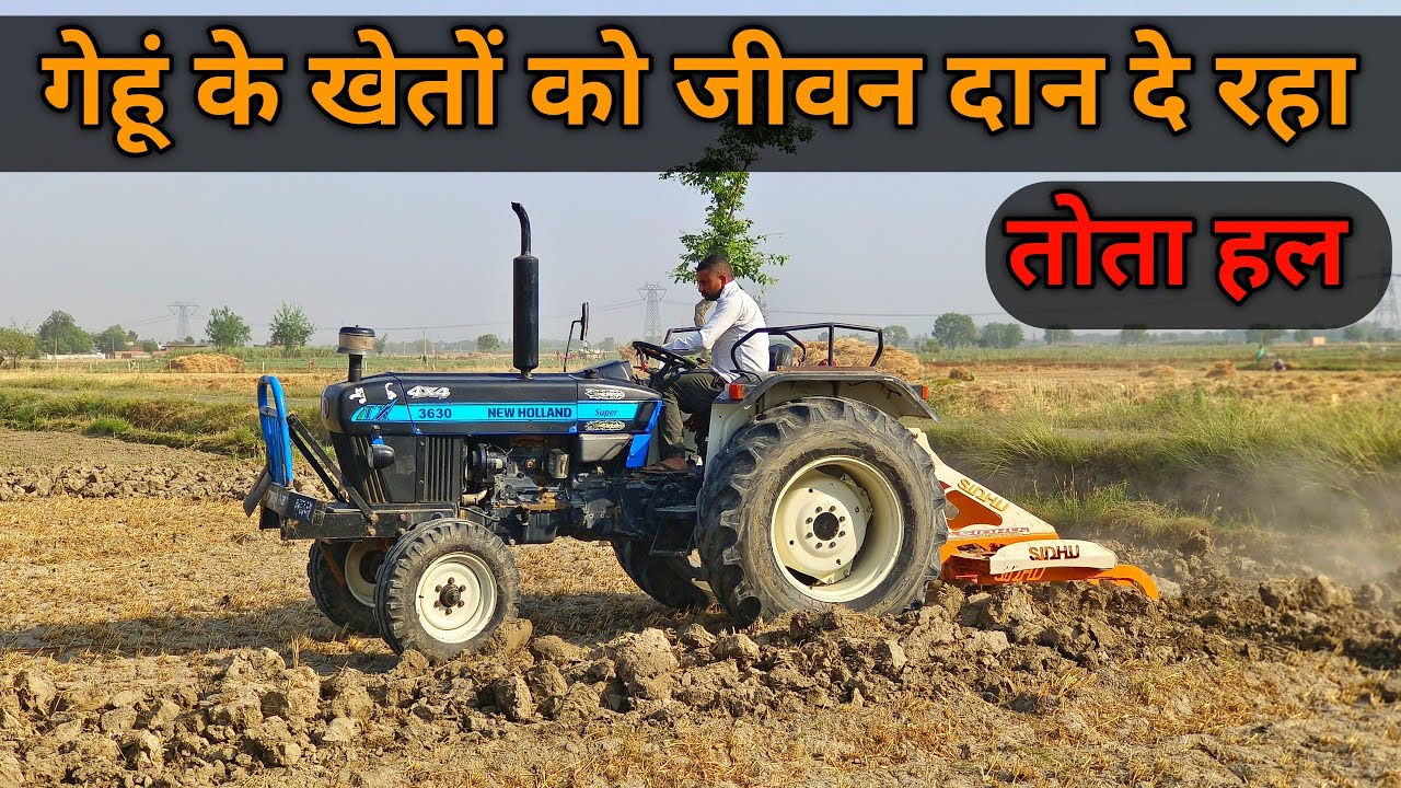 गेहूं के खेतों की जुताई का बादशाह Tota Hal|New Holland 3630 Performance With Duck Foot Plough