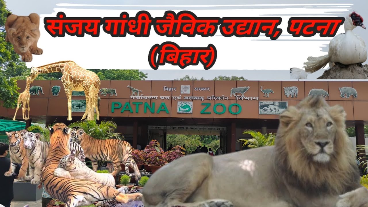 पटना चिड़िया घर | Patna Zoo | संजय गांधी जैविक उद्यान, पटना | Ashutosh Singh | @VillageAshutosh
