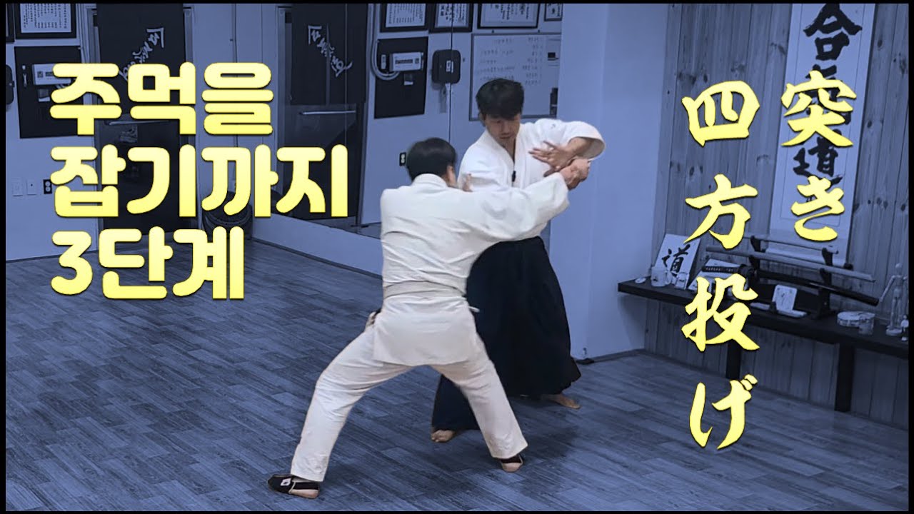 【아이키도】날아오는 주먹을 잡을 수 있나(찌르기 사방던지기)