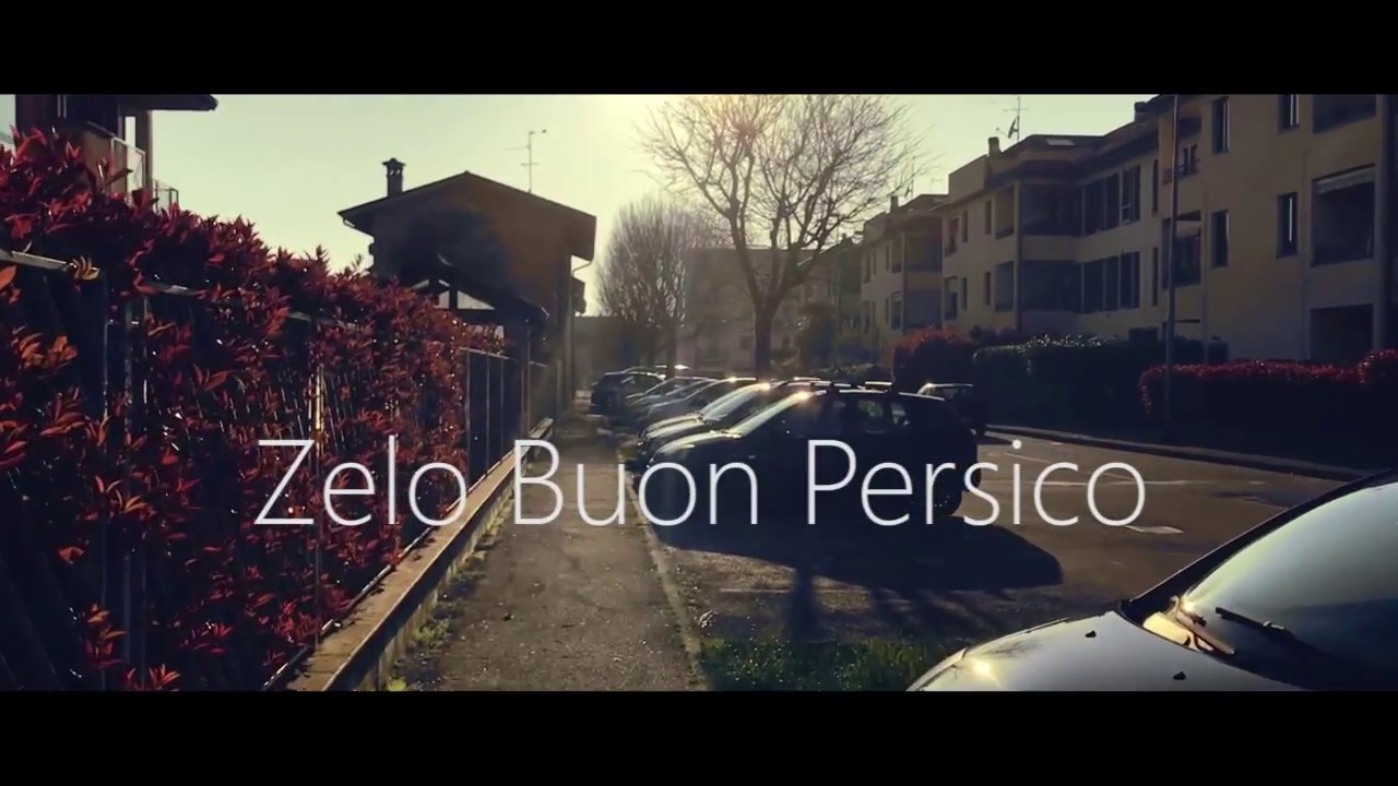 Cinematic Zelo Buon Persico