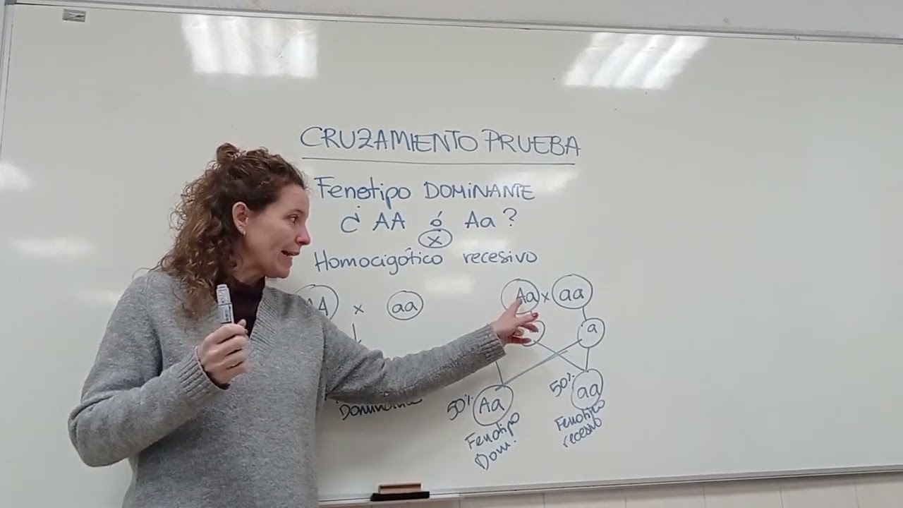 Cruzamiento Prueba y Retrocruzamiento (Gen. Clásica)