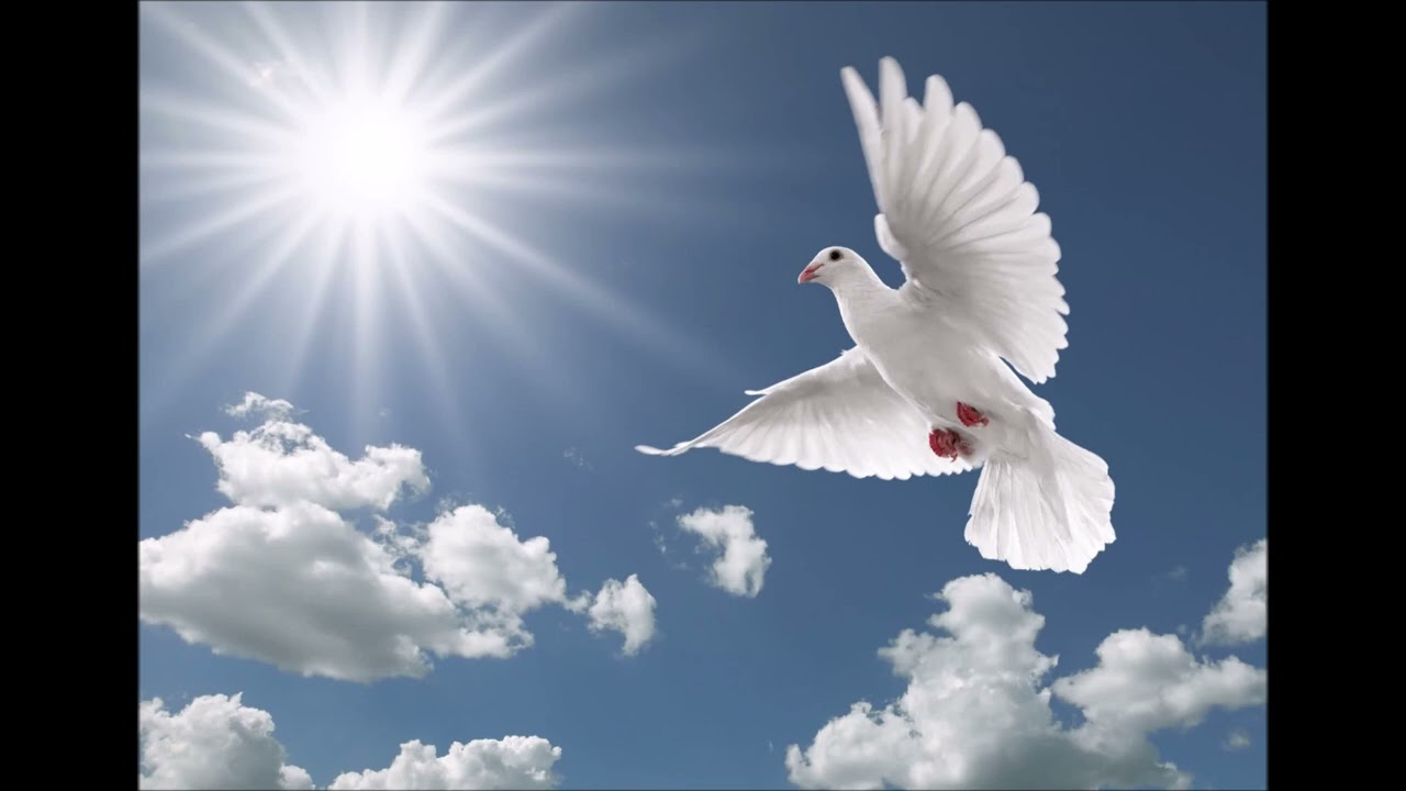 YASHAYA&rsquo;s Prayer for AHAYAH&rsquo;s children
