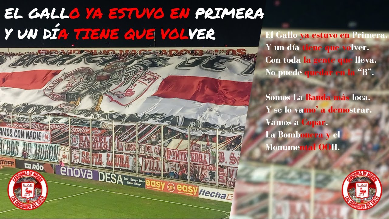 🐓 El Gallo ya estuvo en Primera y un día tiene que volver.... | CON LETRA | Canciones De Morón