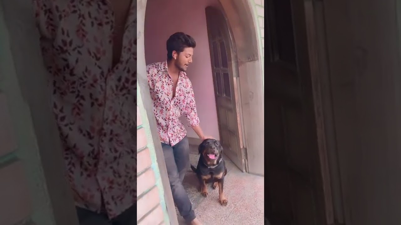 prema faguna new odia song / biki pop new reels #shorts