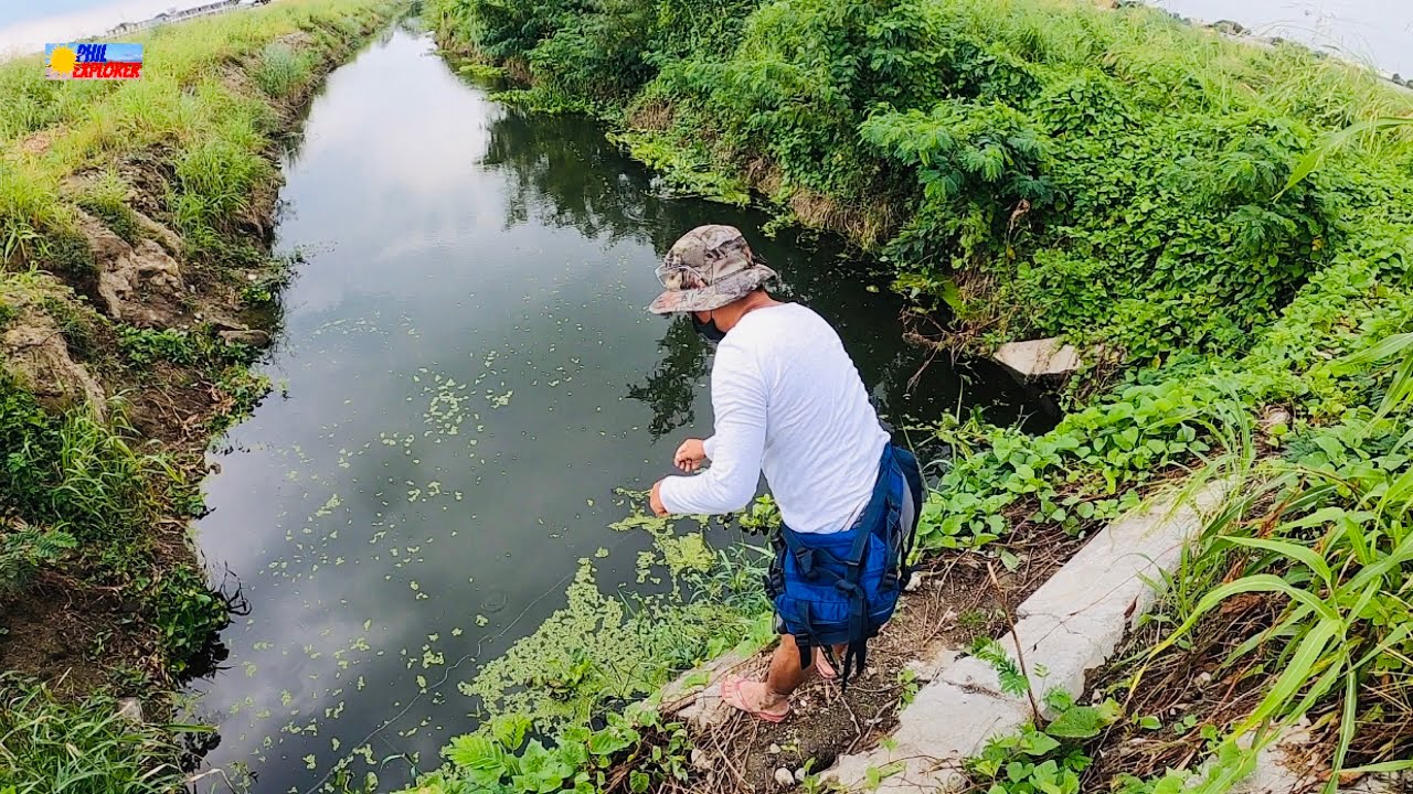 Roadside Small Creek Fishing? (Surprise Catch!)