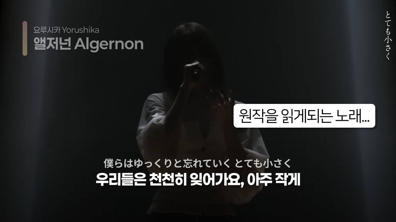 [LIVE 한국어 번역] 앨저넌(Algernon) - 요루시카