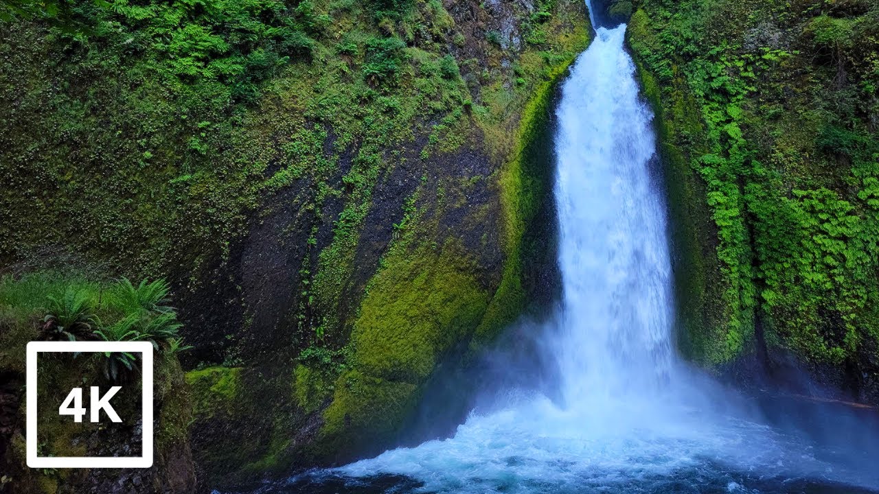 Wahclella Falls Trail | Full Virtual | Treadmill Hike | Columbia River Gorge | Cascade Locks Oregon