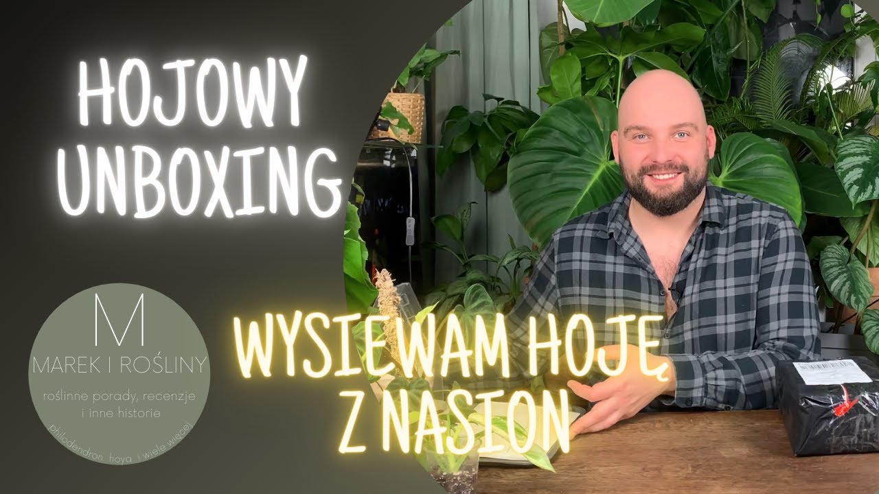 Hojowy unboxing. Wysiewam hoję z nasion😱