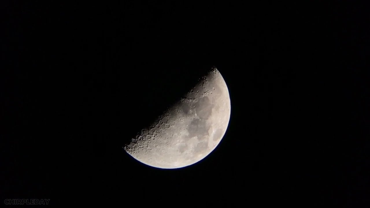Moonchaser by Chirpleday (Original Song)