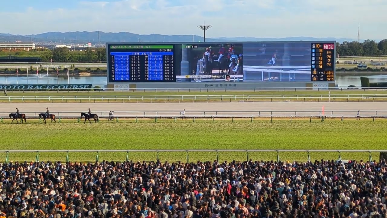 京都競馬場第５０回エリザベス女王杯Ｇ１本馬場入場