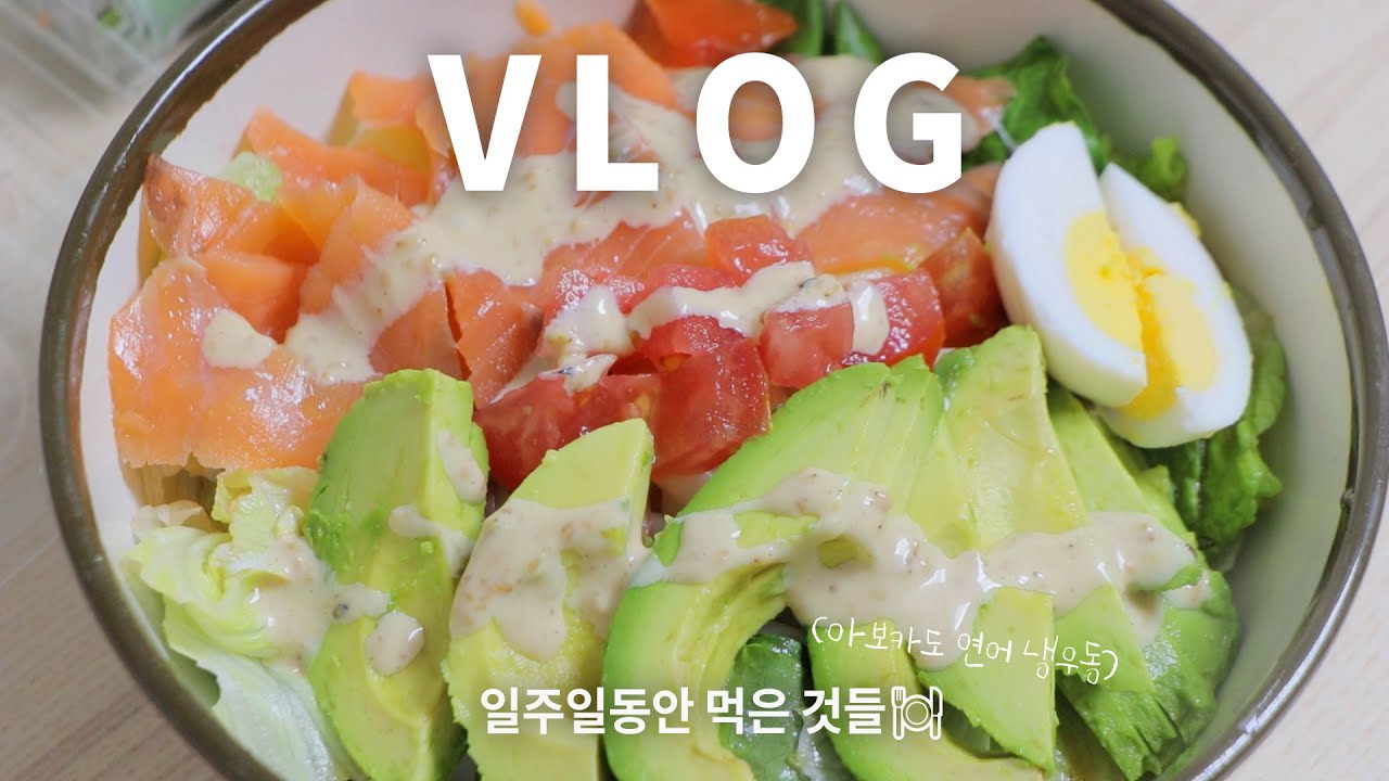 브이로그｜동거커플의 일주일 집밥식단🍽 집나간 입맛 찾아드림 (바지락술찜, 삼겹오븐구이, 아보카도연어냉우동, 김밥전, 장어덮밥)