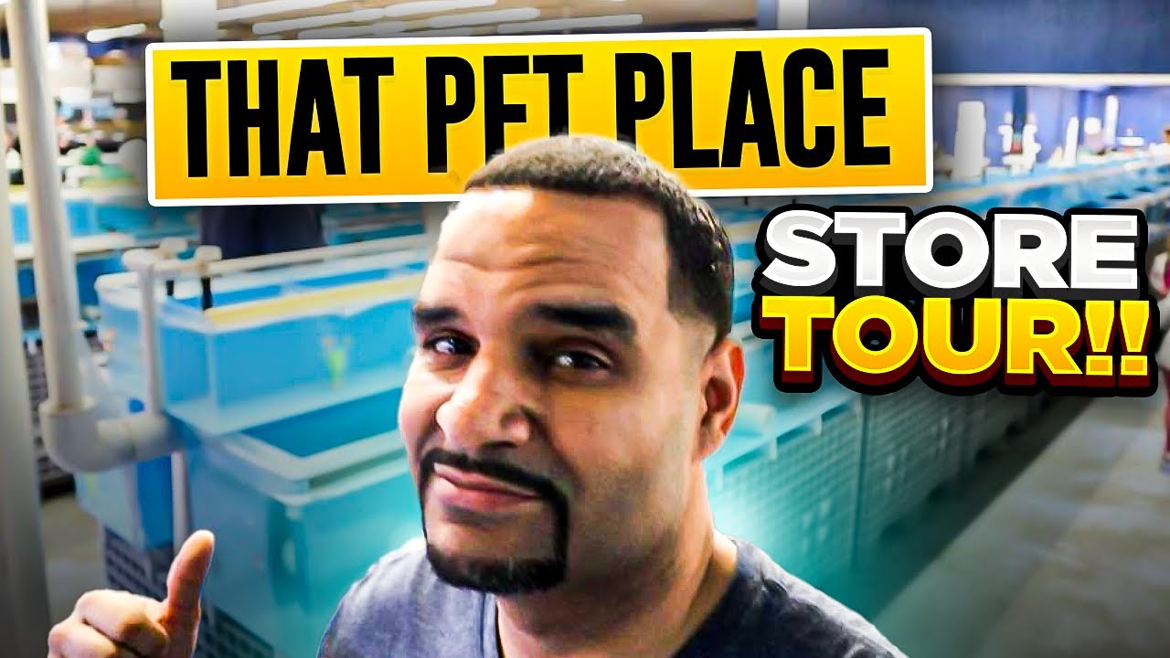 Huge Pet Store Tour with Stingray Touch Tank! (That Pet Place)