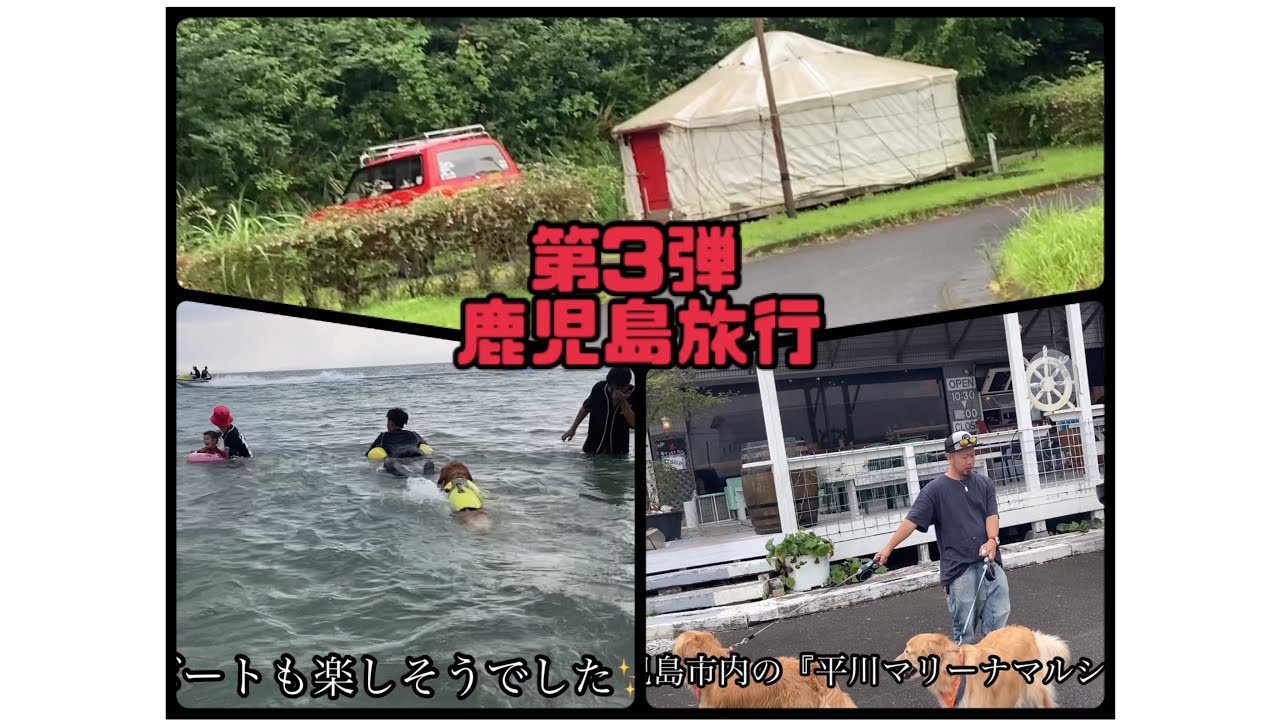 ゴールデンレトリバー BOSS&LUNA家鹿児島旅行【脇本海水浴場〜川辺編】