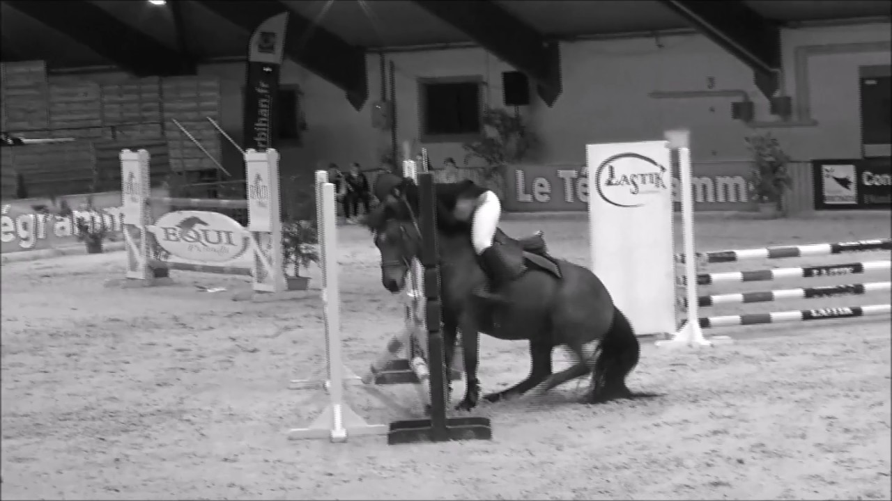 [FREE AUDIO] J'Y CROIS - CLIP EQUESTRE MONTAGE VIDEO